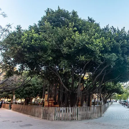 Batflats - Ruzafa فالنسيا